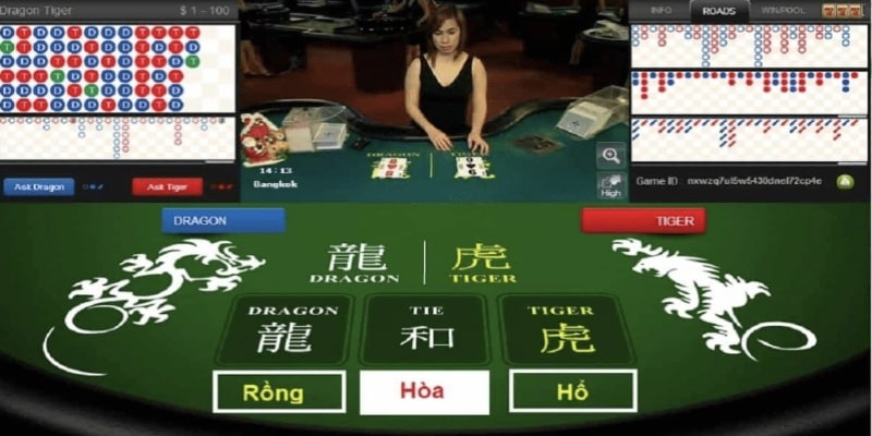 Theo dõi lịch sử trong game bài rồng hổ để dự đoán chính xác hơn